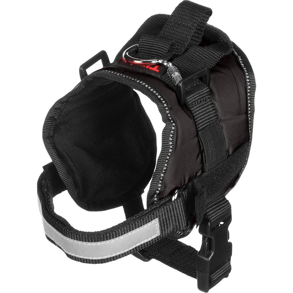 Harnais titan noir s 44-50cm 25mm