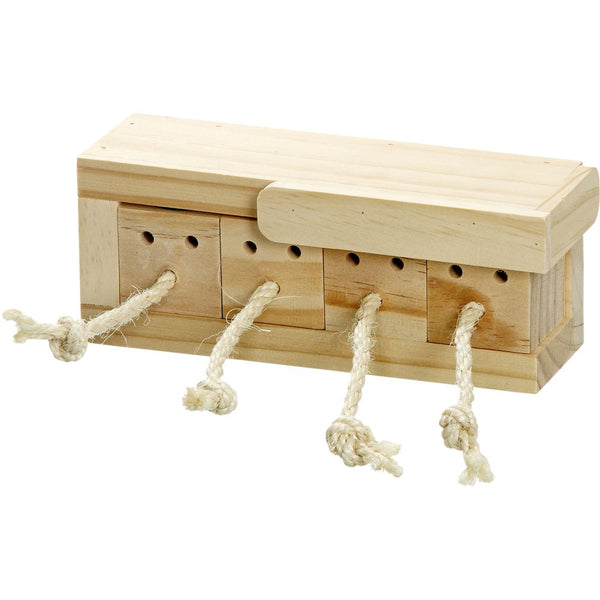 Rody brain train coffret4 blocs