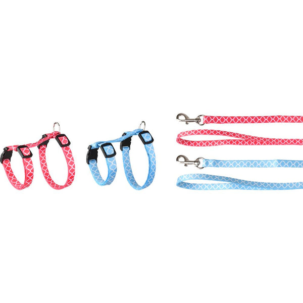 Harnais pour chaton + laisse amsi 15-25cm 10mm assortiment