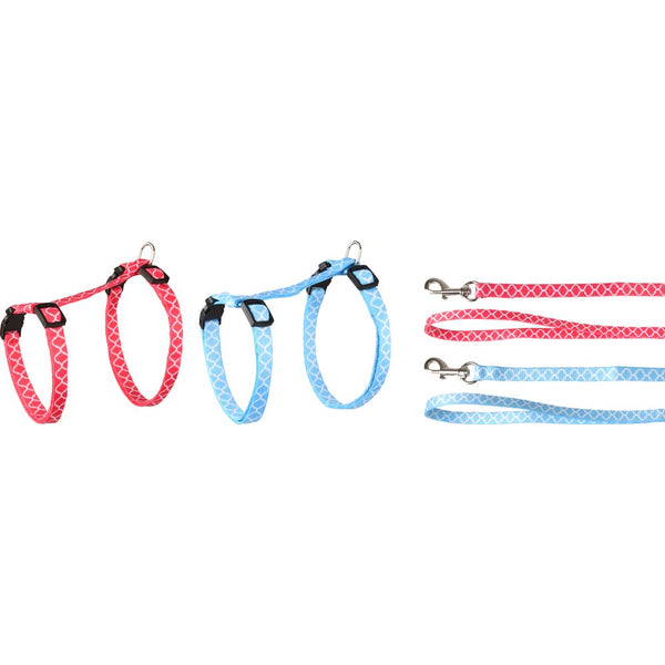 Harnais pour chats + laisse amsi 20-35cm 10mm assortiment