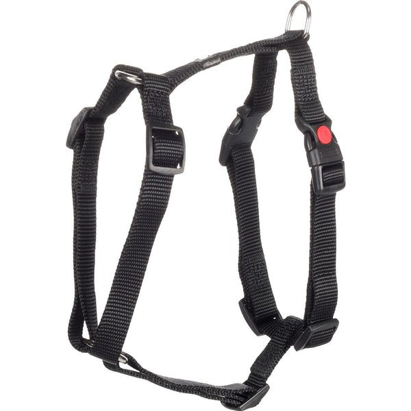 Harnais h ziggi noir s 35-50cm 15mm